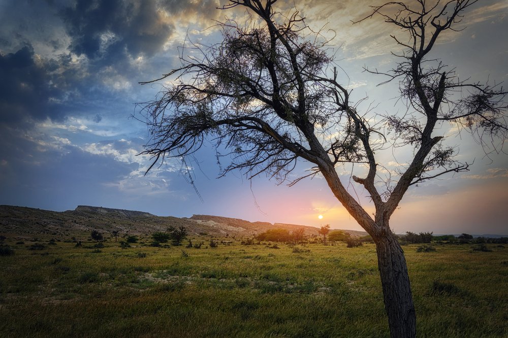 Photograph by Mahdi Sedaghi