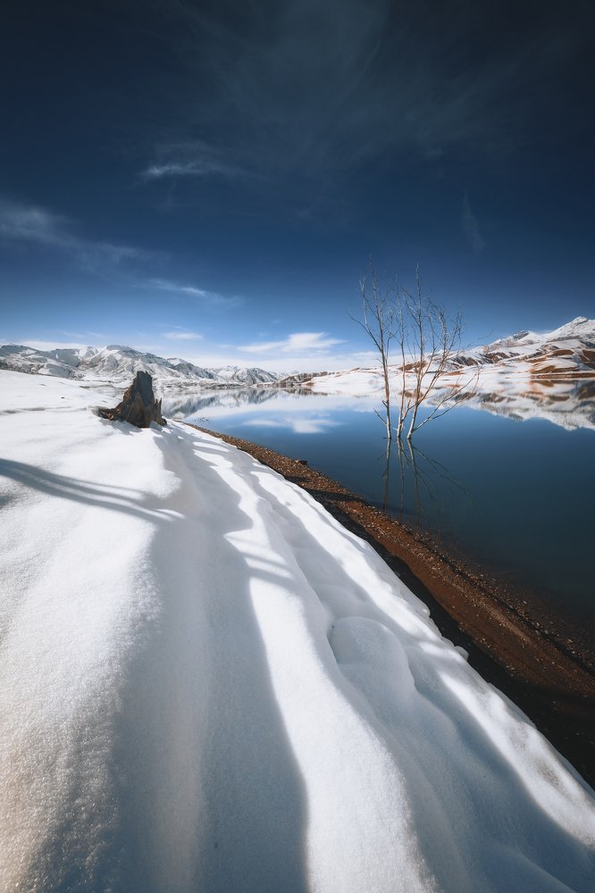 Photograph by Mahdi Sedaghi