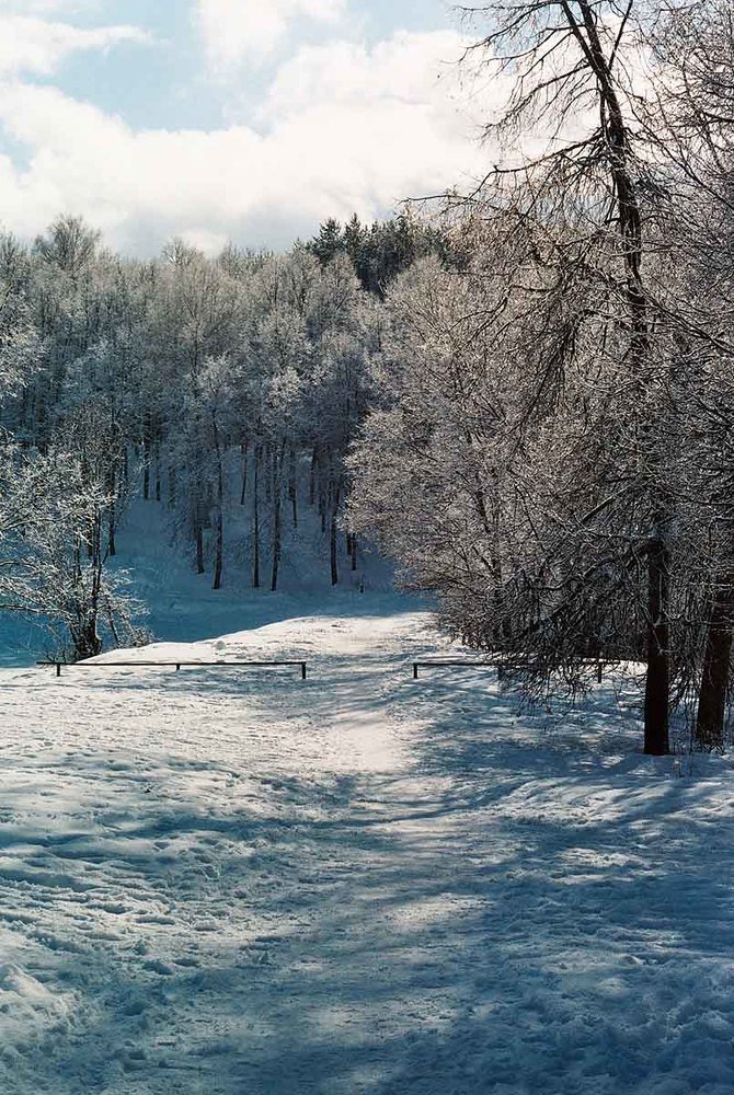 Photograph by Игорь Пшеничников