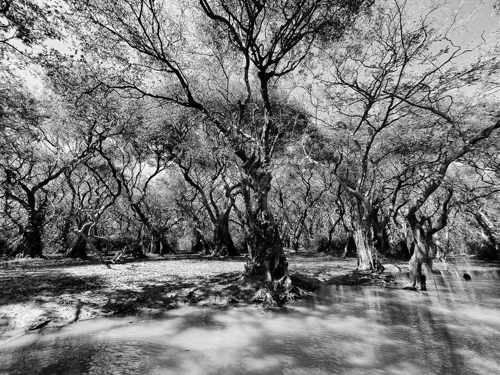 Photograph by Mohammed Nahid Aziz