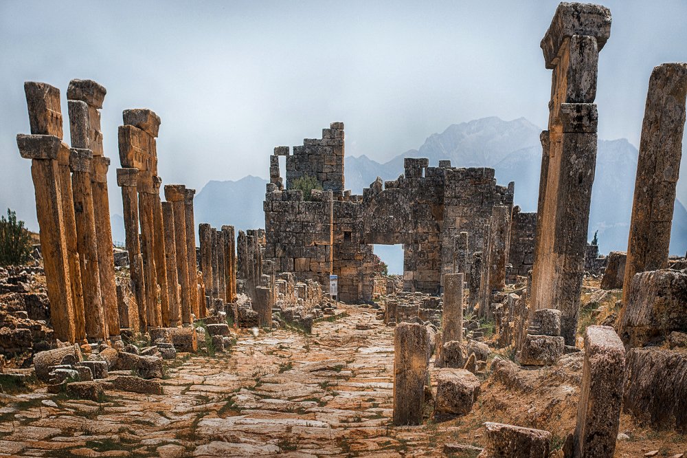 Photograph by Сокуренко Наталья