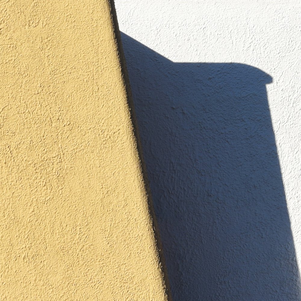 Photograph by Claudia Costantino