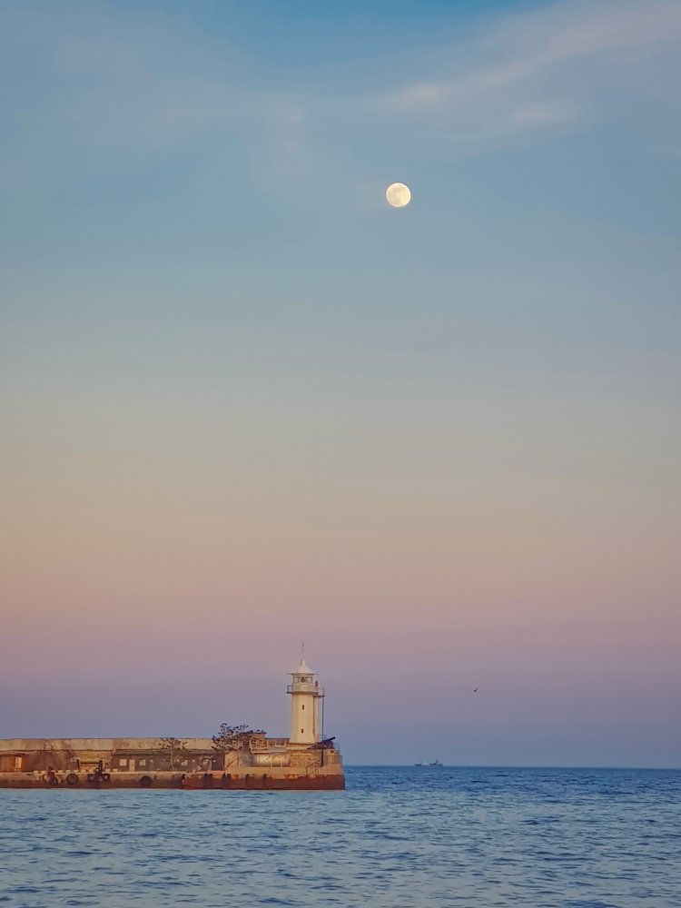 Photograph by Nomorenicknames