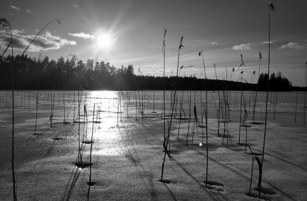 Photograph by Aleksander Leontjev