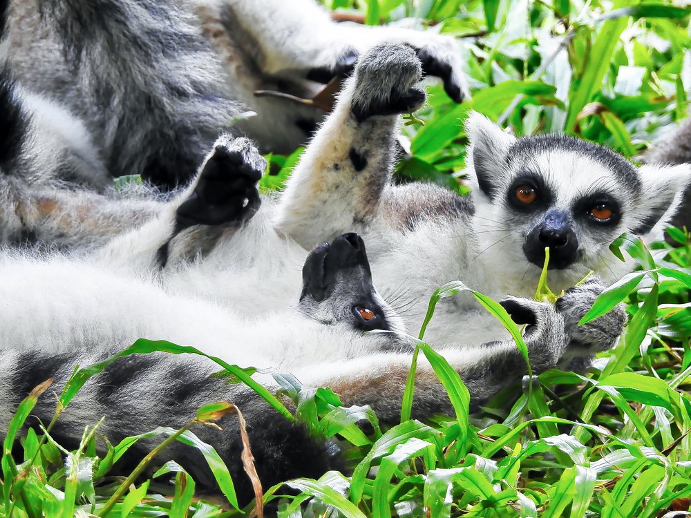 Photograph by Nomorenicknames