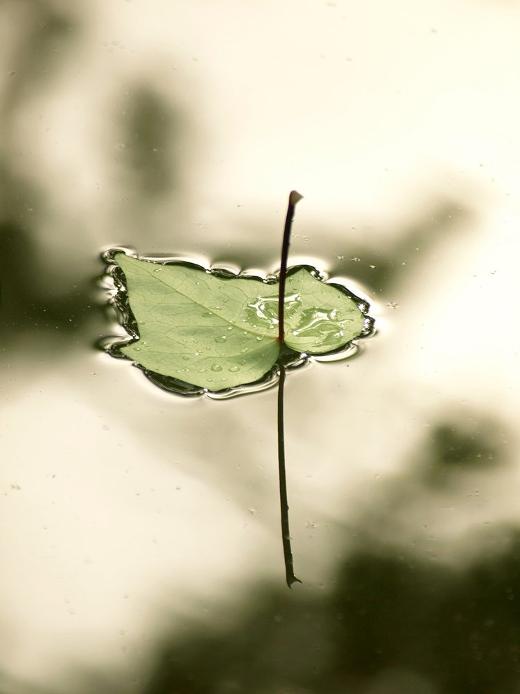 Photograph by Farid Ataei