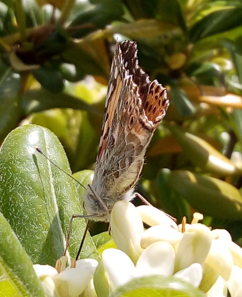 Photograph by Алла Сырчикова