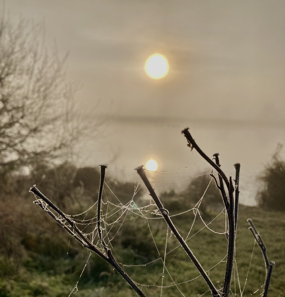 Photograph by Лена Гобена