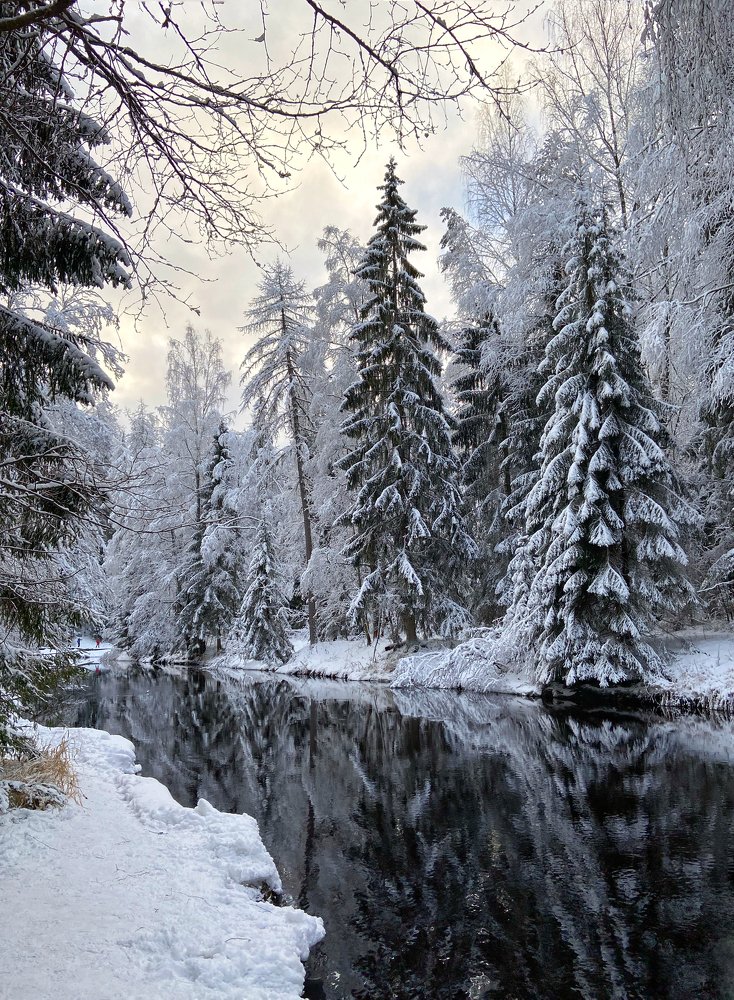 прогулка в Линдуловской роще