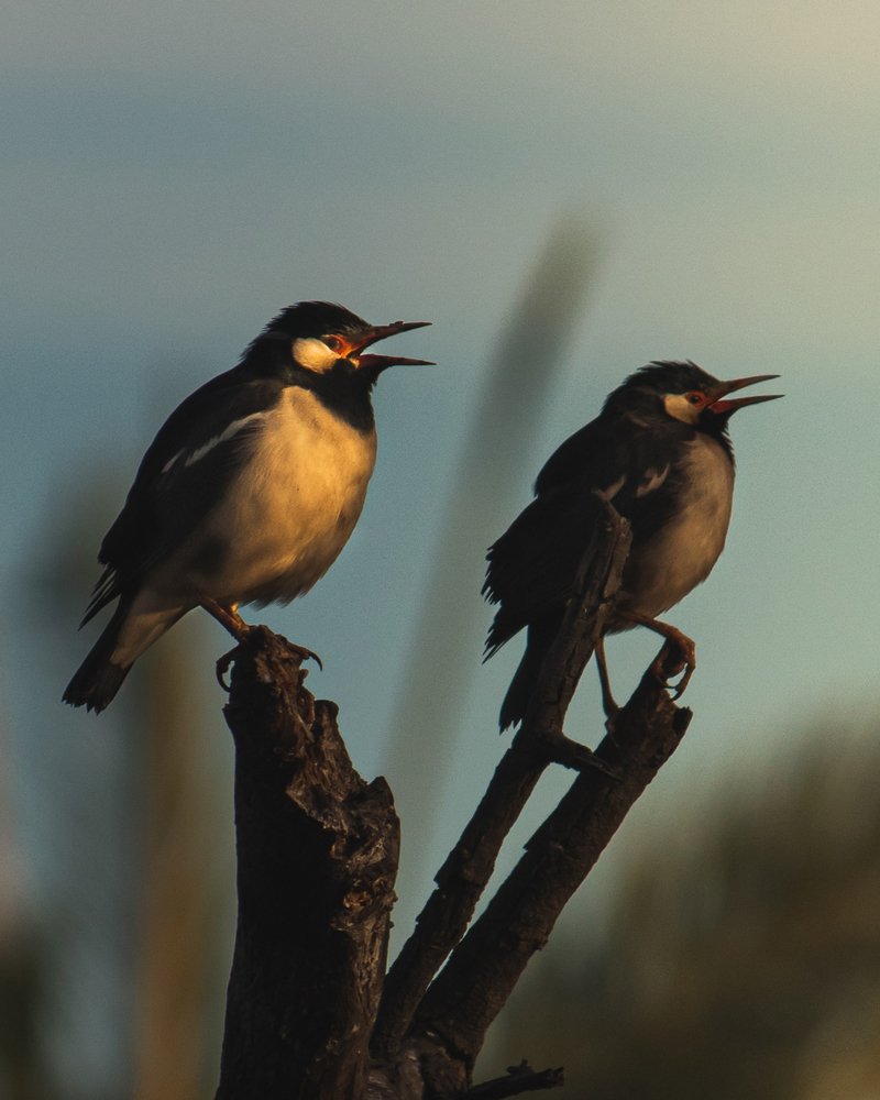 Photograph by Jain Salil