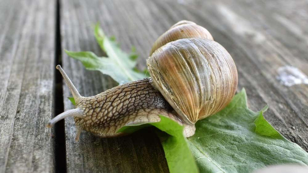 Photograph by Валерий Талейко