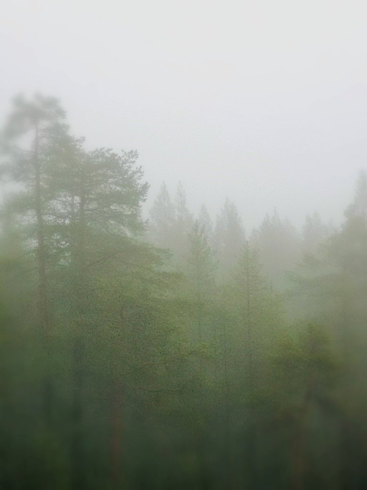 Photograph by Елена Артёменко