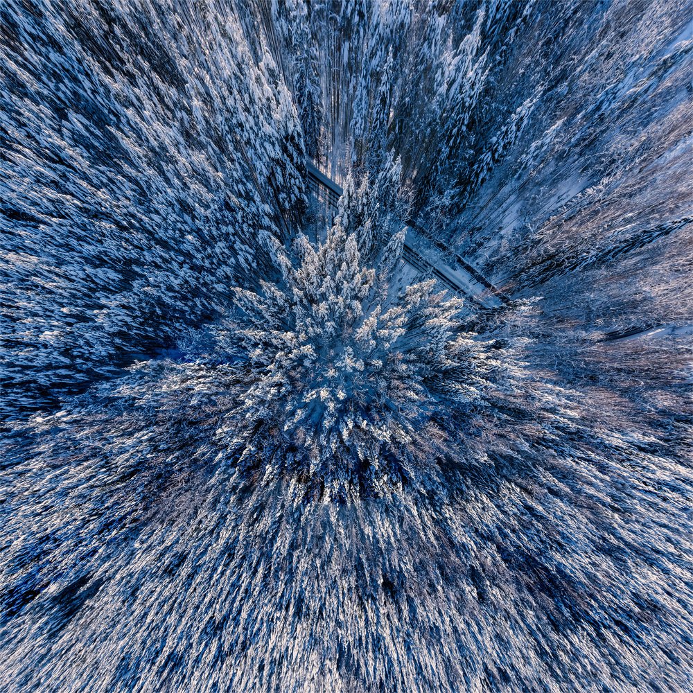 Photograph by Sergei Poletaev