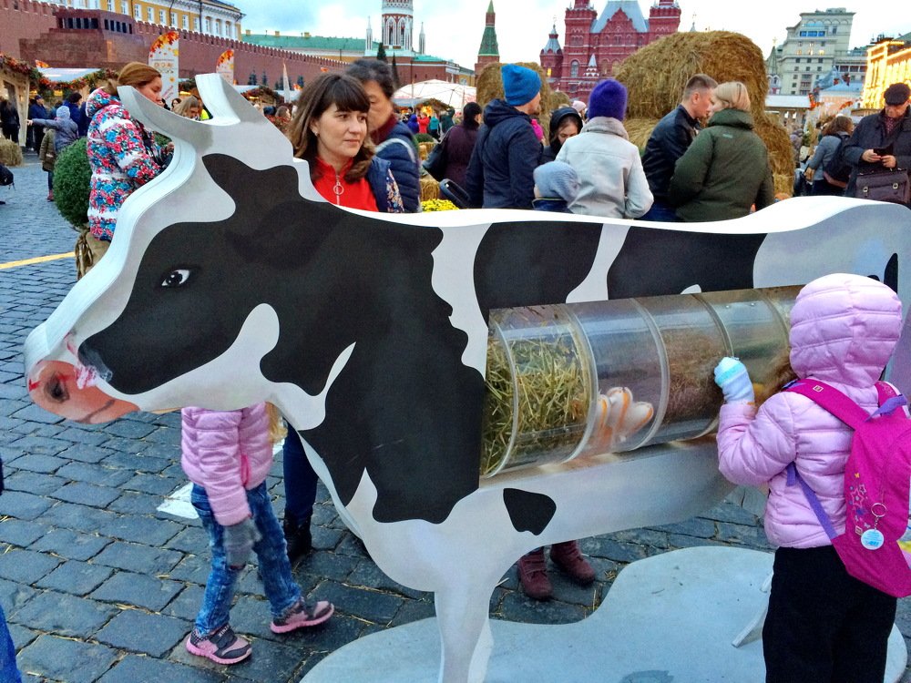 Photograph by Александр Танчук