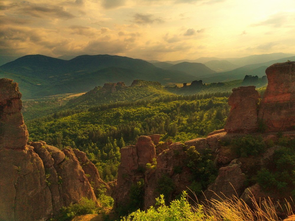 Фотография автора OLEG MOZHEVIN