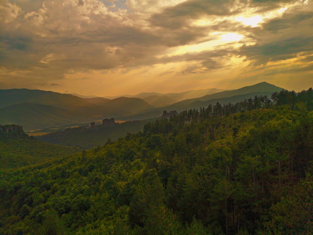 Фотография автора OLEG MOZHEVIN