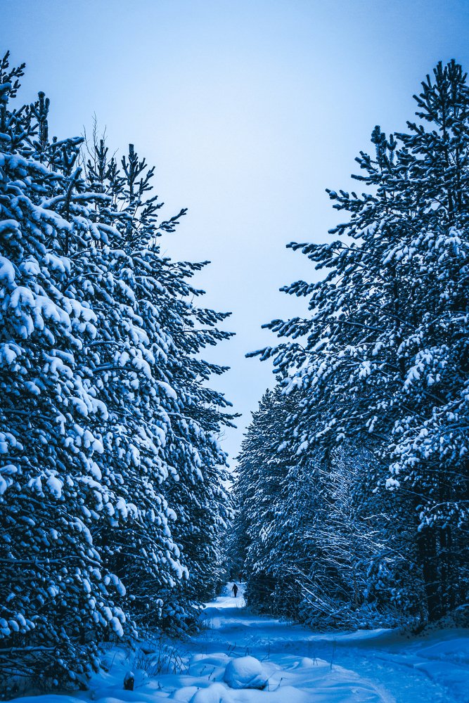 Photograph by Алексей Кабанихин