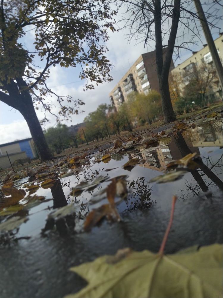 Photograph by Екатерина Лозовская