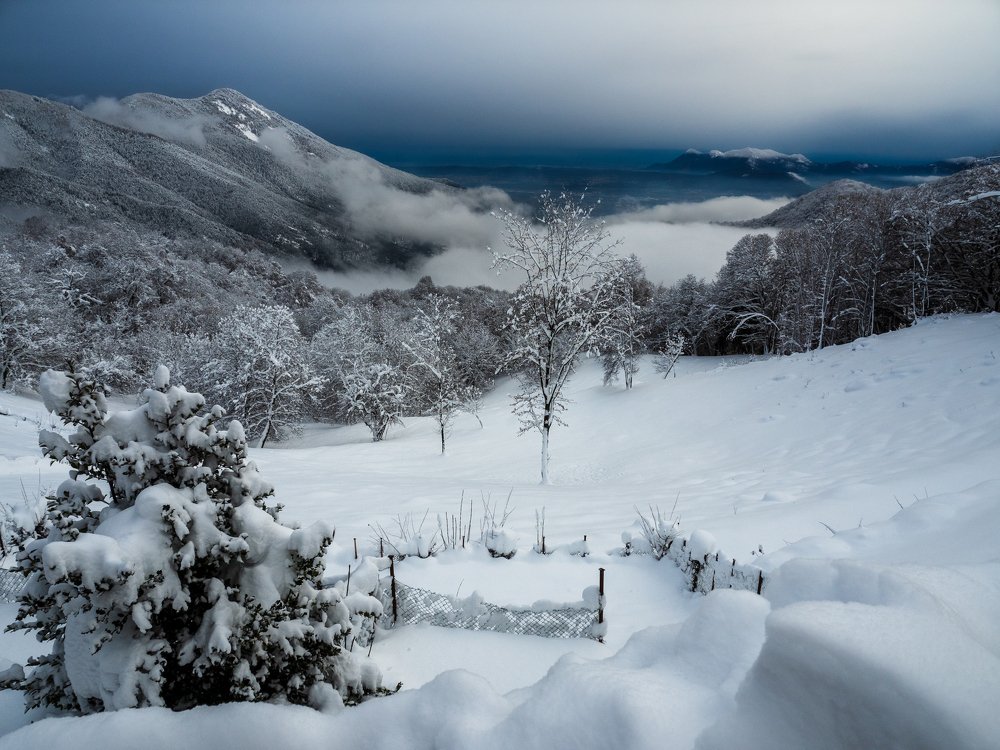 Photograph by Dan Gabriel