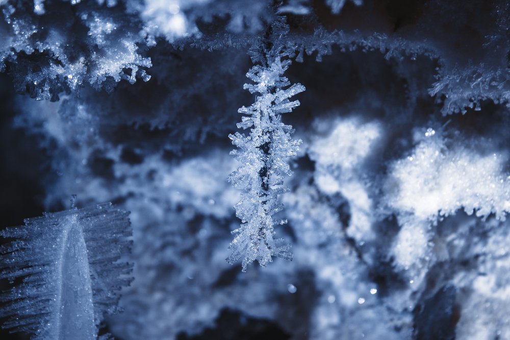 Photograph by Алексей Кабанихин