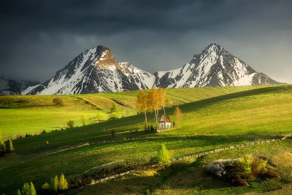 Photograph by Jakub Perlikowski