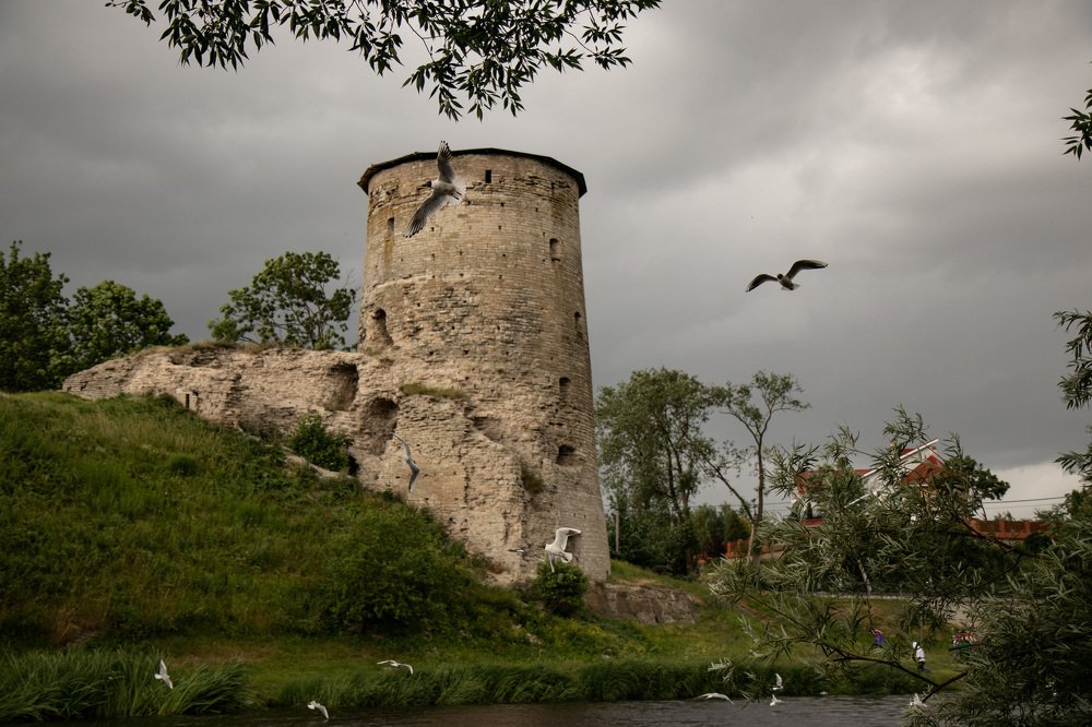 Photograph by Дарья Стеклова