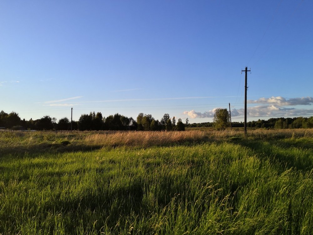 Photograph by Ольга Журавлева