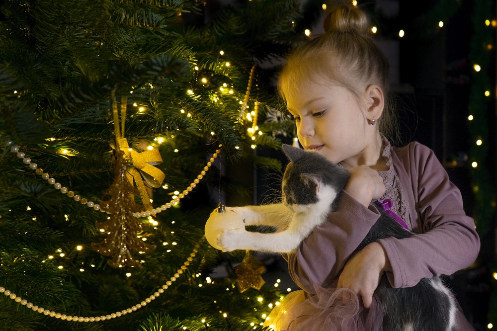 Photograph by Колосова Юля