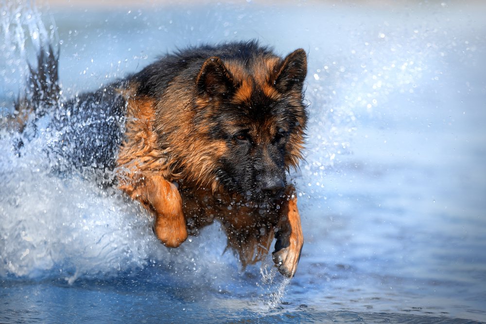 Photograph by Светлана Писарева