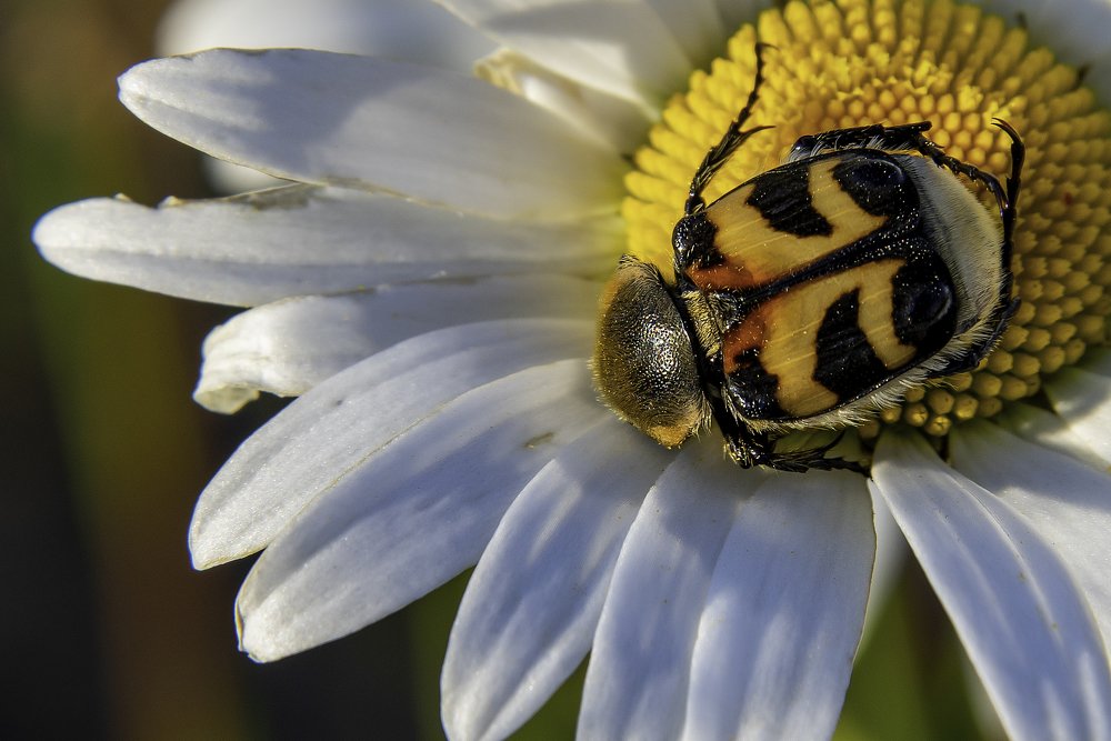 Photograph by Кадырова Марина