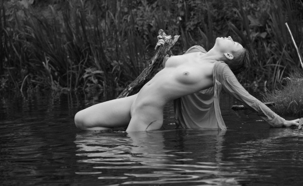 Фотография автора Андрей Лахтионов