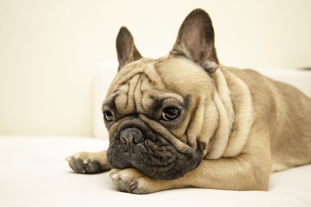 Photograph by Кадырова Марина