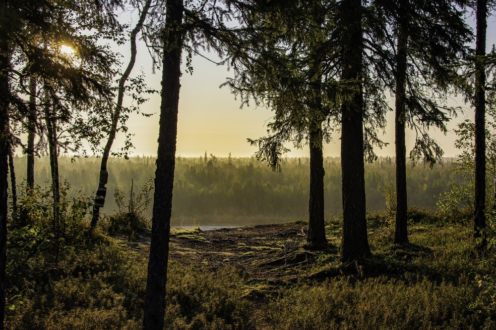 Photograph by Кадырова Марина