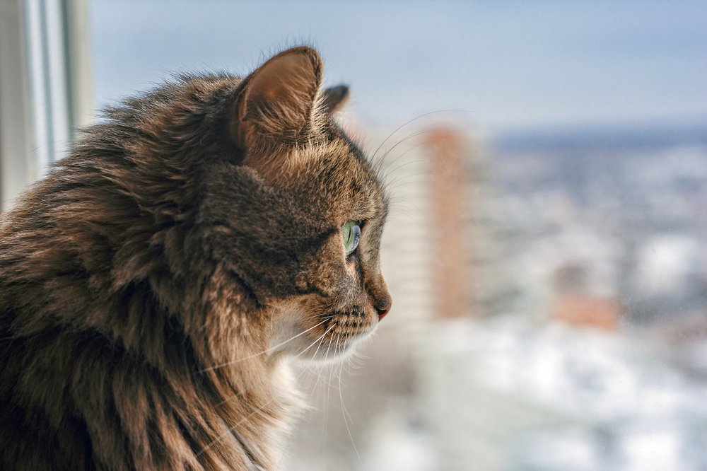 Photograph by Мария Теос