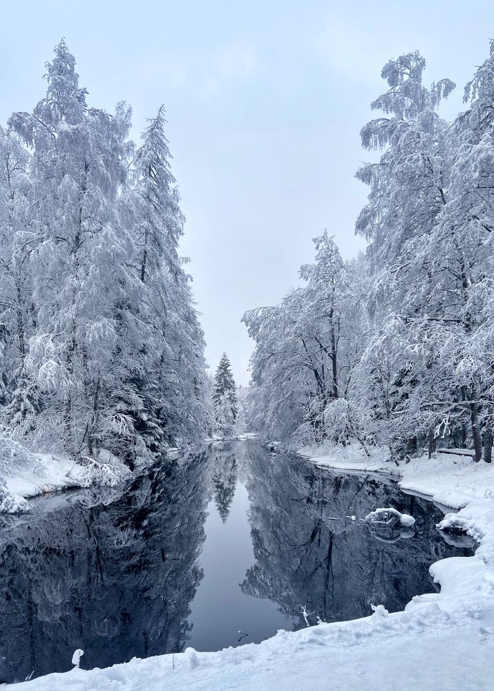 Photograph by Александра Морозова