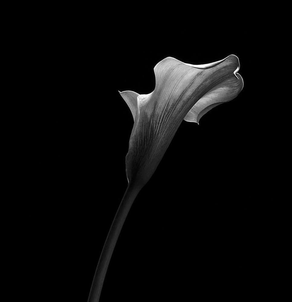 Photograph by Victoria