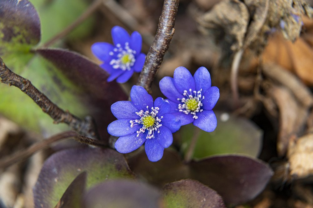 Фотография автора Евгений Глембоцкий