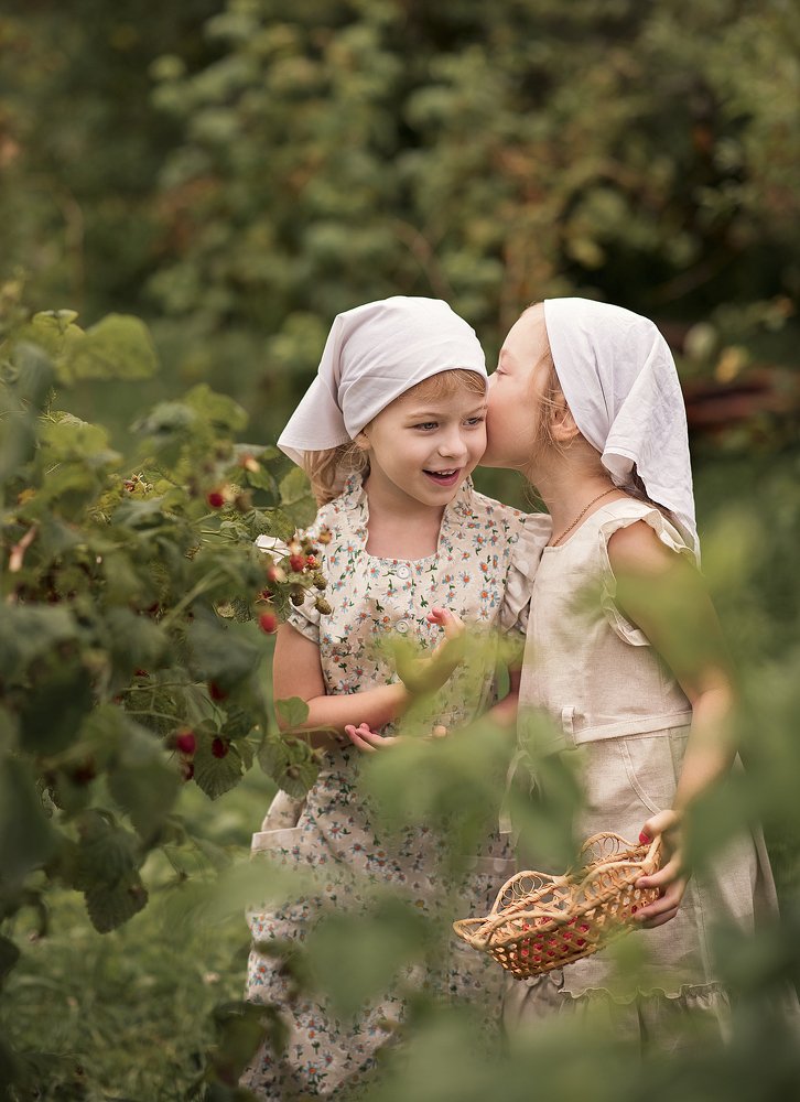 Сбор урожая