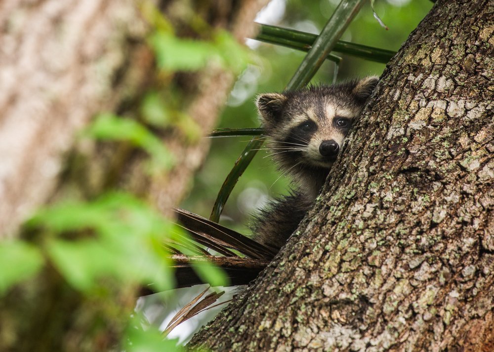 Photograph by Мирная Ксения