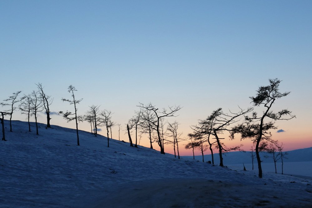 Фотография автора Елена Колосова