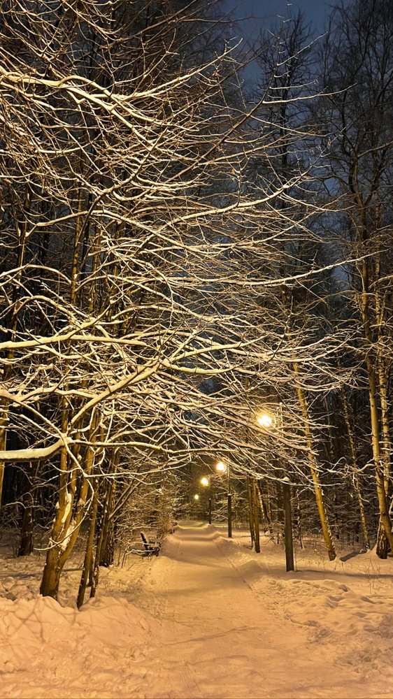Photograph by Юлия Давшан