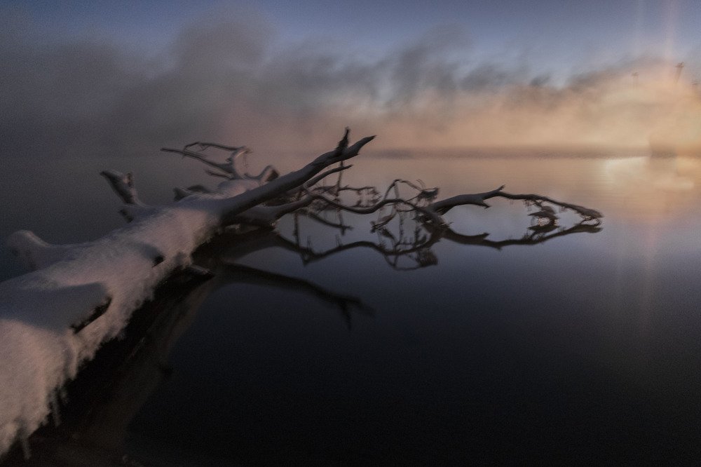 Photograph by Александр Пономарёв