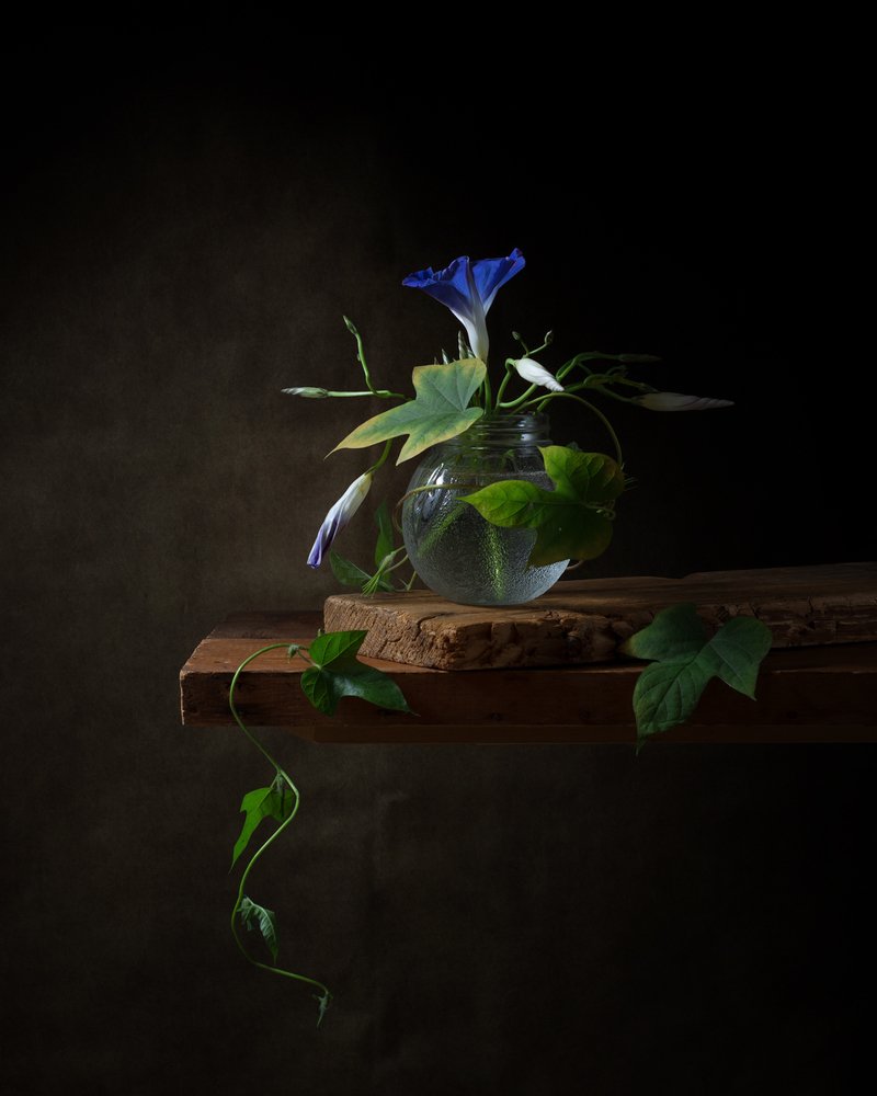 Photograph by Анжелика Королева