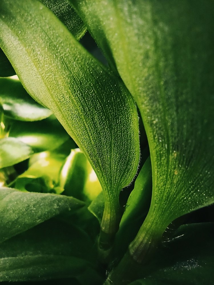 Photograph by Валерия Миронова