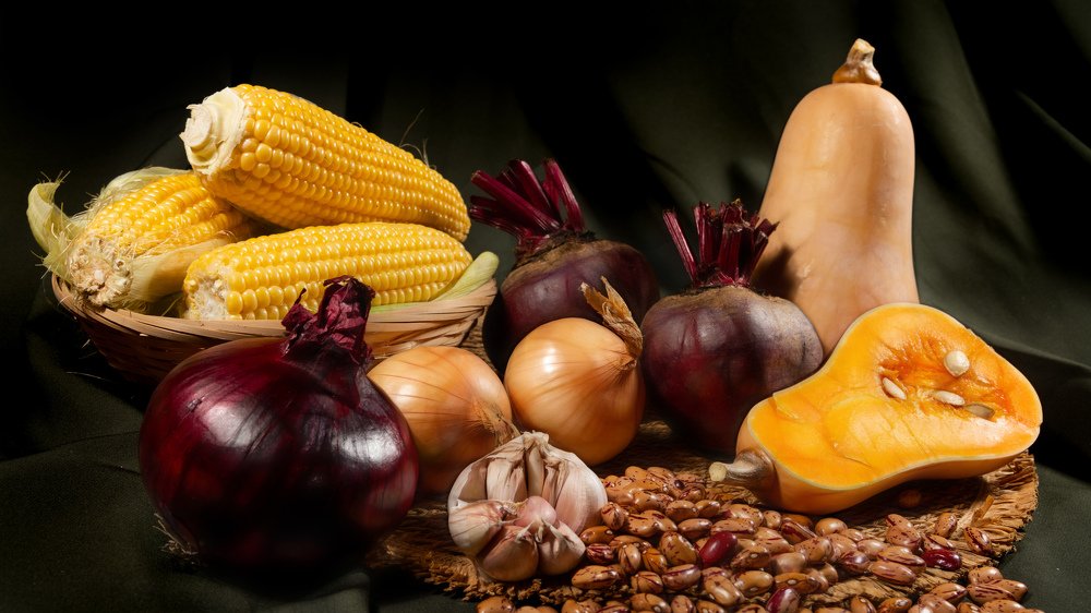 Photograph by David Lerer