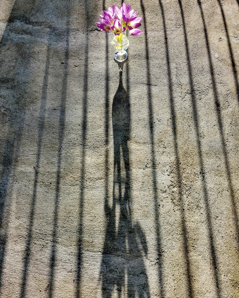 Фотография автора Павел Барский