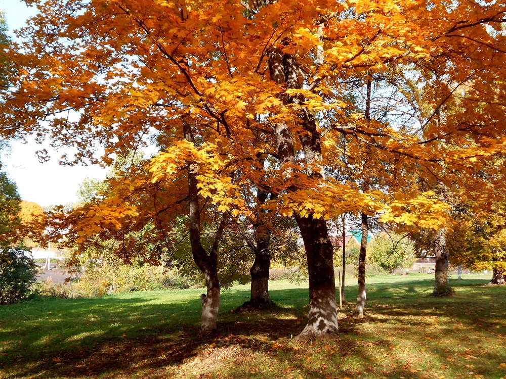 Photograph by Валерий Талейко