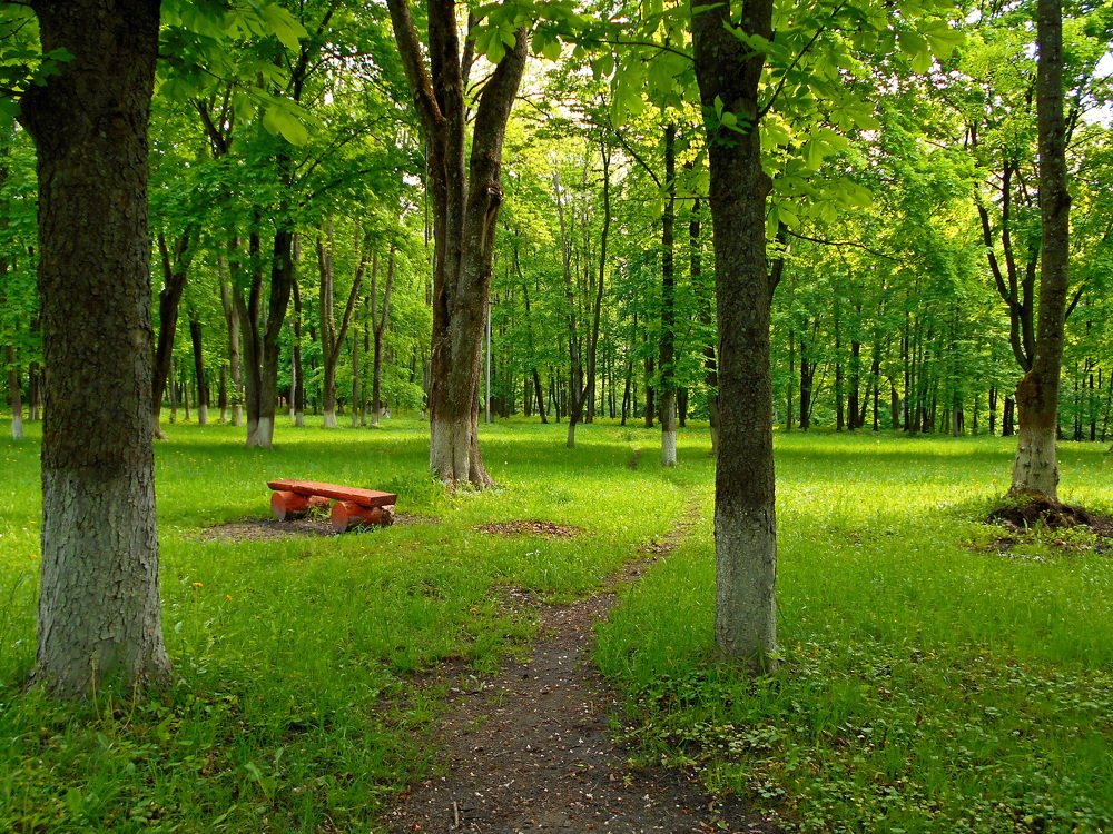 Photograph by Валерий Талейко