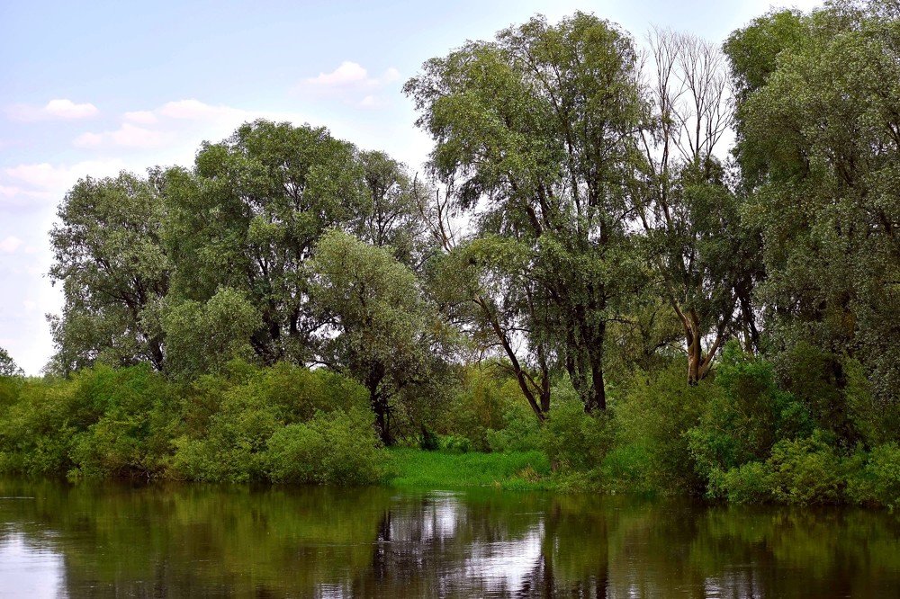 Photograph by Валерий Талейко