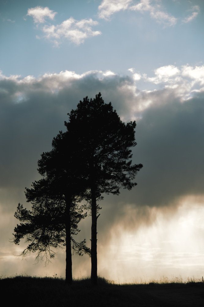 Photograph by Лена Андрианова